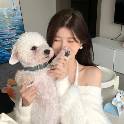 双人床条约